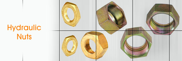 Hydraulic Nuts Hydraulic Hex Nuts Hydraulic Hose Pipe Fitting Nuts manufacturers suppliers in india punjab ludhiana