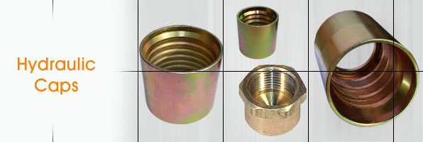 Hydraulic Caps Hydraulic Sockets Hydraulic Ferule Hydraulic Hose Pipe Fitting Caps manufacturers suppliers in india punjab ludhiana
