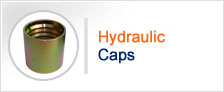 Hydraulic Caps manufacturers suppliers exporters in india punjab ludhiana